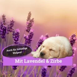 BeG Buddy Körbchen Spray Beruhigung Stress 10 BeG Buddy Körbchen Spray Beruhigung Stress -FRESSNAPF Geschäfte 9d7bd8e422fc117daaa45f2eadc4e2e342f5d199 1669471 de DE 146feb38dd17e6baa3c59778f26e903482106de9cso8xz