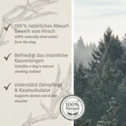 Aniforte Hochland Hirschgeweih Large 11 Aniforte Hochland Hirschgeweih Large -FRESSNAPF Geschäfte 9dcf0f27be6849c765e8a9e12cd266dd1588a12d 1656976 de DE ac8dd6a0786bd0be0560fc7bc4de242434c219127XG5KZ