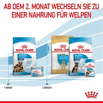 ROYAL CANIN MAXI Starter 15kg 9 ROYAL CANIN MAXI Starter 15kg – Bild 7