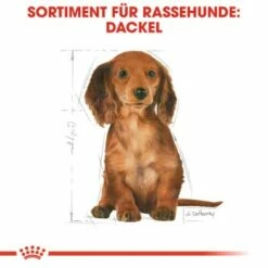 ROYAL CANIN Dachshund Puppy 1,5 Kg -FRESSNAPF Geschäfte 9ef2cd452233701ce9cb5c54b3fa30a00f10bbd2 54bf92544bc0421cc474412f71304ef9aa928d8a