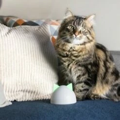 SureFlap Sure Petcare Hub -FRESSNAPF Geschäfte 9f5bfec8de043f4a92cd1437f562ae1683a10820 46ac2e41b6bc8ea03ea15881bcebd38d8c7bf830