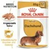 ROYAL CANIN Dachshund Adult Mousse 12x85g 2 ROYAL CANIN Dachshund Adult Mousse 12x85g -FRESSNAPF Geschäfte 9f963a62a5df48d1b5d5f5042644d7a7f0bd2b92 4e6efe2d7d45064f1b4df3768196abcfd98501ce