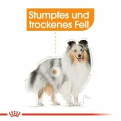 ROYAL CANIN Coat Care Mini 8 Kg -FRESSNAPF Geschäfte a015616ba7b0f09bb3635d2f92ec42b058c3bf94 9cc4a6a599d5c6fa50944a6ff8326d322ab5e6f2