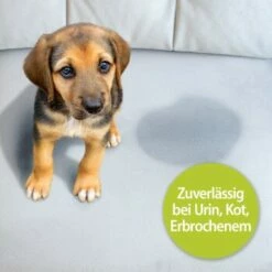 Bactador Geruchs- Und Fleckenentferner Konzentrat 1 L -FRESSNAPF Geschäfte a0645d1301dfc076d7857eccb02a3ca70ab672ff 1294801 de DE bactador 2