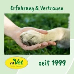 DentaVet Gel 25ml -FRESSNAPF Geschäfte a3f0f225424e36ead3f58163a43f1ebde29b0acd 1667843 de DE f215127866d604991b4efc218004018ddf447095y5Ccte