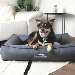 Freudentier Orthopädisches Box Hundebett Siebenschläfer M 16 Freudentier Orthopädisches Box Hundebett Siebenschläfer M -FRESSNAPF Geschäfte a5e52a27b6efa7cff67967197f1e12ef63c601a3 1477909 de DE 0e3346775cbe91d680a139b48e2958643f277017Xq6L3c