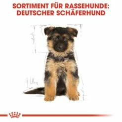 ROYAL CANIN German Shepherd Puppy 12 Kg 14 ROYAL CANIN German Shepherd Puppy 12 Kg -FRESSNAPF Geschäfte a6ed0d212b31f716e951be43160e14dc1fcf1361 828f54e1844421c8d74031b31ca63b9e59d8c1ae