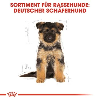 ROYAL CANIN German Shepherd Puppy 12 Kg 7 ROYAL CANIN German Shepherd Puppy 12 Kg – Bild 5