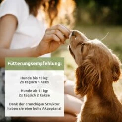 Aniforte Hanfkekse 200g 9 Aniforte Hanfkekse 200g -FRESSNAPF Geschäfte a7e0572484f9fe6ba37a77d6bd5bc40268a74abe 1480470 de DE 46ac5b30e7ecb574f59967b071dd7bc14252b77dI4cyvf