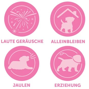 ADAPTIL Junior Halsband Anti Stress Erziehungshalsband 7 ADAPTIL Junior Halsband Anti Stress Erziehungshalsband – Bild 5