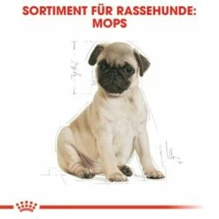 ROYAL CANIN Mops Puppy 1,5 Kg -FRESSNAPF Geschäfte a8dcbe3811513f51103c125cc010a70c42f8e19a 27d6edb8ff1416bafe72b5dcbf2cc02303a12fe1