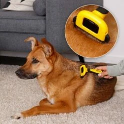 Lionto Haustierbürste, Zupfbürste -FRESSNAPF Geschäfte a99a14a7250fd4e501ec529126934f0a8e973480 1665908 de DE 47ac745e0253c5bc3fba7e69b1681c237a8f3a97orElkU