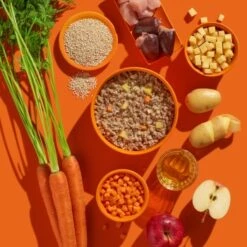 Fred & Felia FRED 10x200g Pute Mit Kartoffeln -FRESSNAPF Geschäfte a9bf6aa6c03c9e945fcaf6cfc7c34e5223a9b5f6 1422065 de DE b38968899d5aadb6bb2af01d15d7f083155a7458oR6wZO