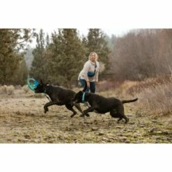 Ruffwear Pacific Ring™ Spielzeug Blau/ Türkis 18 Ruffwear Pacific Ring™ Spielzeug Blau/ Türkis -FRESSNAPF Geschäfte aaae4ecd59db92ffe25787fd56b7315d42974ecb 1444351 de DE f747ae339bc2beff156a317c539c1237b854177bd9ZZMN