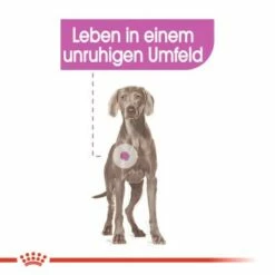 ROYAL CANIN Relax Care Maxi 9 Kg -FRESSNAPF Geschäfte aae200dd20a34c1bd2ab53469bd083be6075a270 3f0541ec8923021cfa4a489ac16d527744f53a6e