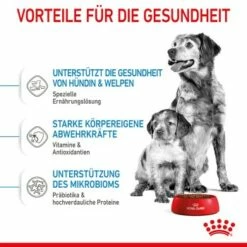 ROYAL CANIN Medium Starter 15 Kg 16 ROYAL CANIN Medium Starter 15 Kg -FRESSNAPF Geschäfte acb15bbb7b41e4def079872bea4263585c7c6e23 5870a5fecba74a3a49092a07c120a3ff257b845d