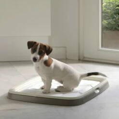 Savic Trainingspadhalter Puppy/Senior Starter-Paket S-M -FRESSNAPF Geschäfte ad5d21d4ed5292bf312ffb22303cc9b6dca6bfef 3135b451881e8a0ce824ac7dba74c9f8ff80dcb7