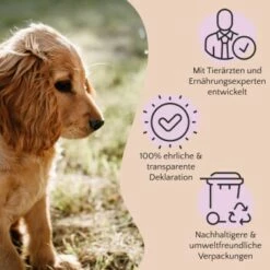 FAVLY Petfood Nature Cookies Hirsch 360 G -FRESSNAPF Geschäfte ae0e416bd82871a8a65b5b89ea5ccac268b91726 1474001 de DE 80624b888460a5c29f043365a19496292e44fd84erjjco