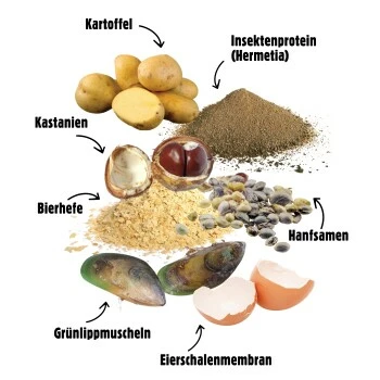 Eat Small EatSmall 20x Snacks Mobility 5 Eat Small EatSmall 20x Snacks Mobility – Bild 3