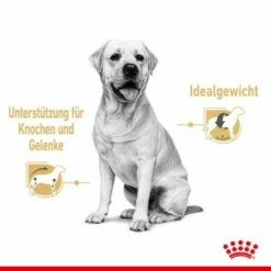 ROYAL CANIN Labrador Retriever Adul Stückchen In Soße 10x140g 15 ROYAL CANIN Labrador Retriever Adul Stückchen In Soße 10x140g -FRESSNAPF Geschäfte aeb19e4cdbaaca5cbebad4d6e972e6da4799c103 97daf81f0e230cf8456b48a254b246e5816be7c2