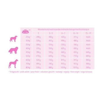 MultiFit Junior Maxi Mit Geflügel & Reis 12kg 4 MultiFit Junior Maxi Mit Geflügel & Reis 12kg – Bild 2