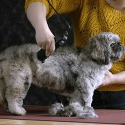 Moser Schermaschine Max 45 Inkl. ASK 11 Moser Schermaschine Max 45 Inkl. ASK -FRESSNAPF Geschäfte b0d4eca208b1c44fde9769108a0a7feb3a3a5ad2 da57035be550c76ab9dcf7d8dbc15959d076f3f0