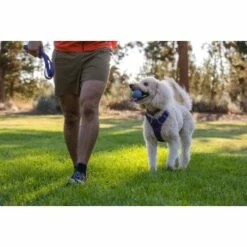 Ruffwear Turnup™ Spielzeug Violett 15 Ruffwear Turnup™ Spielzeug Violett -FRESSNAPF Geschäfte b105e198cd00a21614936d5623b86e5c24ad96fa 1639873 de DE fff67c1bf88f55eee292c4191617b1a3181d5acclQvLz9