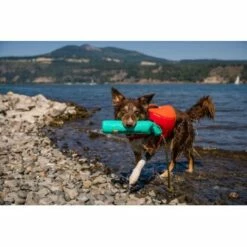 Ruffwear Lunker™ Spielzeug Blau/ Türkis 22 Ruffwear Lunker™ Spielzeug Blau/ Türkis -FRESSNAPF Geschäfte b1ff74faaf51c648517e284bc677372b2de917b1 1364294 de DE 872baa13c3c684e3cd884d6a02e37e7e22ad686cLNC7EY