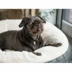 TrendPet LunaBed Hundebett Beige S -FRESSNAPF Geschäfte b212c247b049ca8bfe06f13412a12f4f8872bd34 1343729 de DE 09debbd0142a0d2cb20a6392f9d425901b9f7709LSeqTd