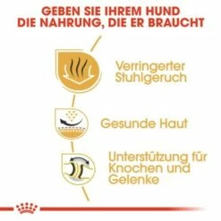 ROYAL CANIN Bulldog Adult 3 Kg -FRESSNAPF Geschäfte b2a0fd71eeb98d54f0e9a685339239b4dcf0374a 57b2b9908d28de419f4030b283f9700e75cbf5a4