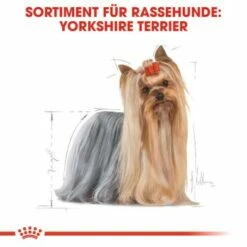 ROYAL CANIN Yorkshire Terrier Adult 1,5 Kg -FRESSNAPF Geschäfte b2f5184395c498d76eeaf1a3805977dc6baac69a 8525a84bc8bceef91a6ba9ef3810aac1dcf98bbb