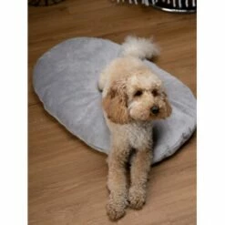 TrendPet Emma Liegekissen Grau S -FRESSNAPF Geschäfte b48aa1ae4cf4d68ec69ba4c37d516f74528715ee 1369472 de DE b2ffa28c3681679283b9f0b59962e0ca3348cc04HFyDSJ