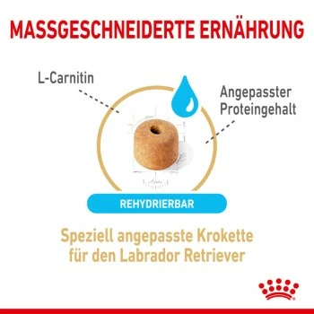 ROYAL CANIN Labrador Retriever 5+ Adult 12 Kg 7 ROYAL CANIN Labrador Retriever 5+ Adult 12 Kg – Bild 5