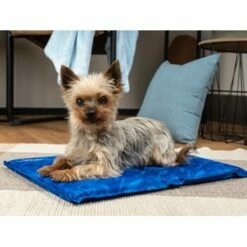 TrendPet Arctic Comfort 20 Mm Premium Kühlmatte Blau XS -FRESSNAPF Geschäfte b53bb26cfb13cdd0b74dc985265a423c34472de0 1337501 de DE eeae7b858d8efabd7402d3478fa479a01c858980C07PVZ