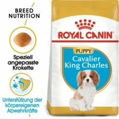 ROYAL CANIN Cavalier King Charles Puppy 1,5kg -FRESSNAPF Geschäfte b5789d3b2ddee2a3c04027e5ddb70d20b2dfd1b5 1082911 de DE rc2