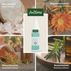 Aniforte Dentalspray Zahnpflege Spray 100ml -FRESSNAPF Geschäfte b8c2494df30b706b215daba4b3b66c8a0a3adb3b 1439278 de DE f771ceb2289f6e14df78bea1815642d81ce3e3cf9ASqvV