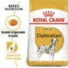 ROYAL CANIN Dalmatian Adult 12 Kg -FRESSNAPF Geschäfte b8f723fb7b584da59f1b14101fb45574a1f6a9f1 bca6c71f5bf09c21e15b0569412c8db62c9f908c