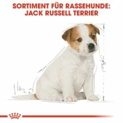 ROYAL CANIN Jack Russel Terrier Puppy 1,5kg -FRESSNAPF Geschäfte bb3f5f8c600f3d186a55e0b092a0352606da8b46 5f62f0670b22e1110337187d33f26910051f1a81