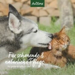 Aniforte VET Ohrenreiniger Kamille 250ml -FRESSNAPF Geschäfte bb72cf922fff80c2ad100a34a6028fcdc6e18ba8 1441191 de DE 04511de56e799f1986950cb040592ffe3d335883KMQ73o