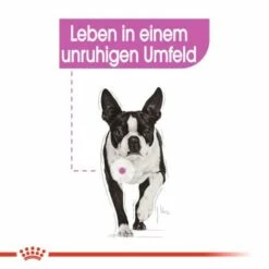 ROYAL CANIN Relax Care Mini 3 Kg 15 ROYAL CANIN Relax Care Mini 3 Kg -FRESSNAPF Geschäfte bc21685a55dde6700f1426e5dcfbc4c03ca223ed f8d247f6eb11347905c067951ee80800ad541e52