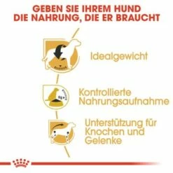 ROYAL CANIN Beagle Adult 3 Kg -FRESSNAPF Geschäfte bd1d862302227d3355d22f5dd63b0fb6e01c0979 a169571c5cbde6082adf0be87e23db9042e69066