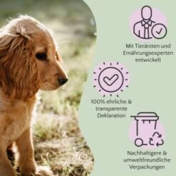 FAVLY Petfood PURE Bites Veggie 360 G -FRESSNAPF Geschäfte bec0cf8f032cb202461664cbfe5564f4eeab2e9b 1474000 de DE 9c441cea117e17df2d31039760b88fa0cc1eb6acALFkfB