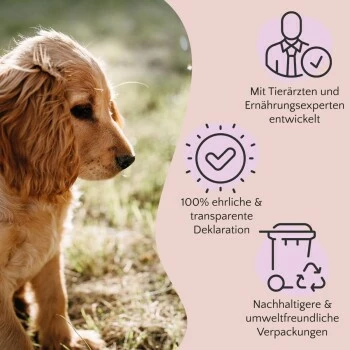 FAVLY Petfood Premium Naturkauartikel Rinderlunge 900 G 5 FAVLY Petfood Premium Naturkauartikel Rinderlunge 900 G – Bild 3