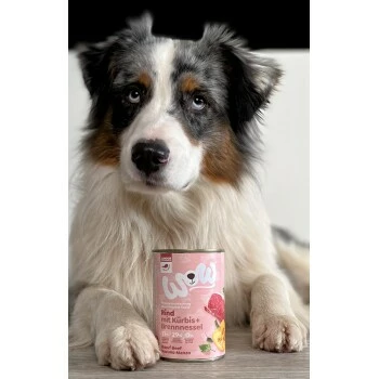 WOW Junior 6x400g Rind Mit Kürbis 4 WOW Junior 6x400g Rind Mit Kürbis – Bild 2