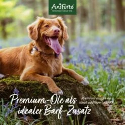 Aniforte Futteröl Premium BARF-Line 1 Liter -FRESSNAPF Geschäfte c11fa3ad0ee5c6826c484345380568a056b17d4e 1422212 de DE 471b9cb1eddf1a4e11196a5eee91fabdcb31b23fFEv6G3