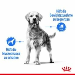 ROYAL CANIN Light Weight Care Medium 12 Kg -FRESSNAPF Geschäfte c20cbc5fbbaf80a286086f39d304eb3b78f86bf5 1376169 de DE asa 4