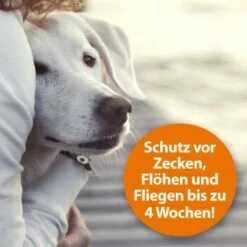 Ardap Zeckenspray Zur Anwendung Am Tier 250ml -FRESSNAPF Geschäfte c211242df7e08f33fd5b606730fbf3d298e6cd4c 1288166 de DE 0495e7c3c66b5adb548c78a490f9c5a9804bc777AYMdPn