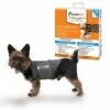 Thundershirt Beruhigungsweste Grau XS 1 Thundershirt Beruhigungsweste Grau XS -FRESSNAPF Geschäfte c22057e0edeaabdc851b9e8e6741a422484760ad 1102942 1