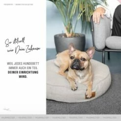 Freudentier Kuscheliges Hundebett Mit Memory Foam ⌀70cm -FRESSNAPF Geschäfte c22bd91b01a6f6c6cf40d7b3d970e27a9fac14f9 1421322 de DE 52bf603f7a7b436d2e10fed70a6a039778ceaa33VNuXm7