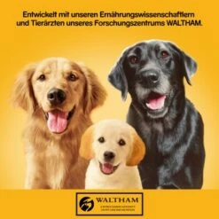 Pedigree Classic 12x400g 3 Sorten Geflügel -FRESSNAPF Geschäfte c22fe3a29d9840148b2dfb38dc46c64ce8a08eb4 1100624 de DE pedigree 1